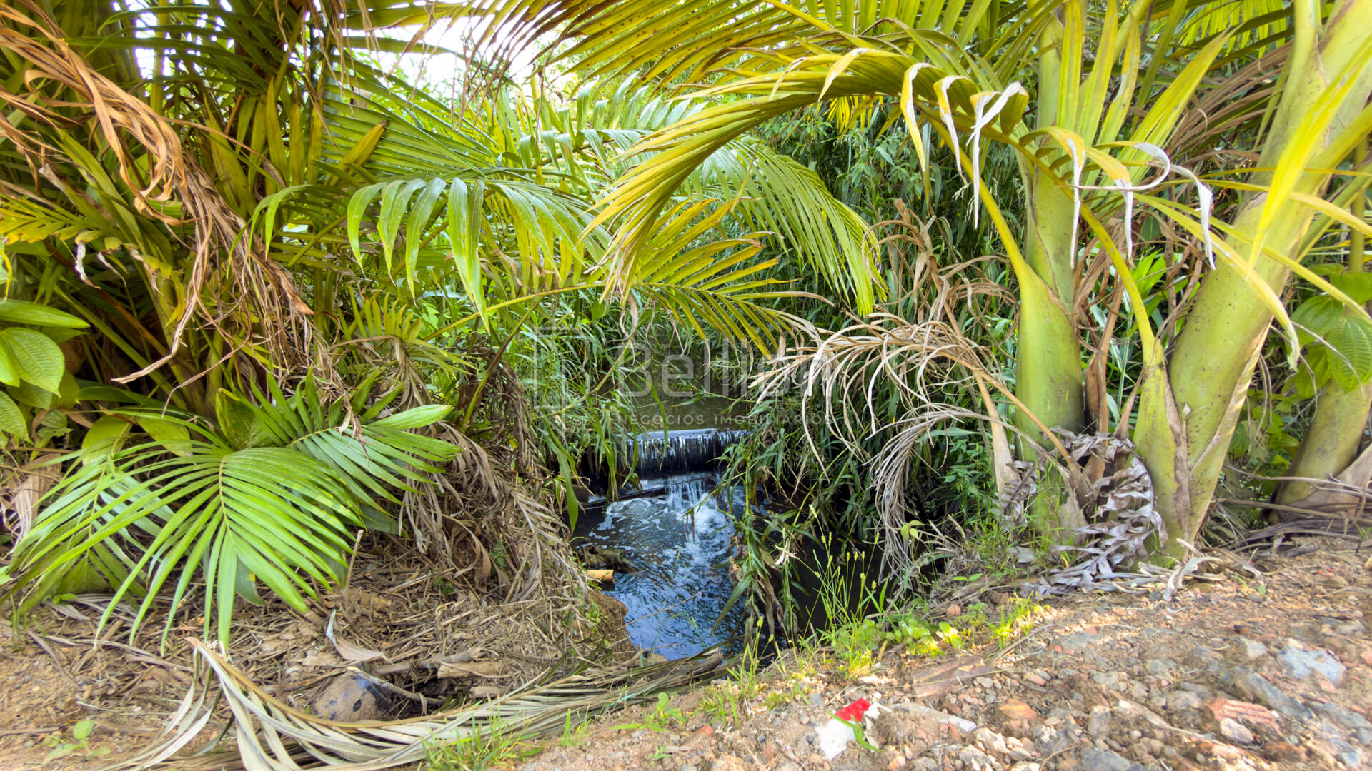 Sítio em Rodeio com ampla área e excelente potencial — foto 3