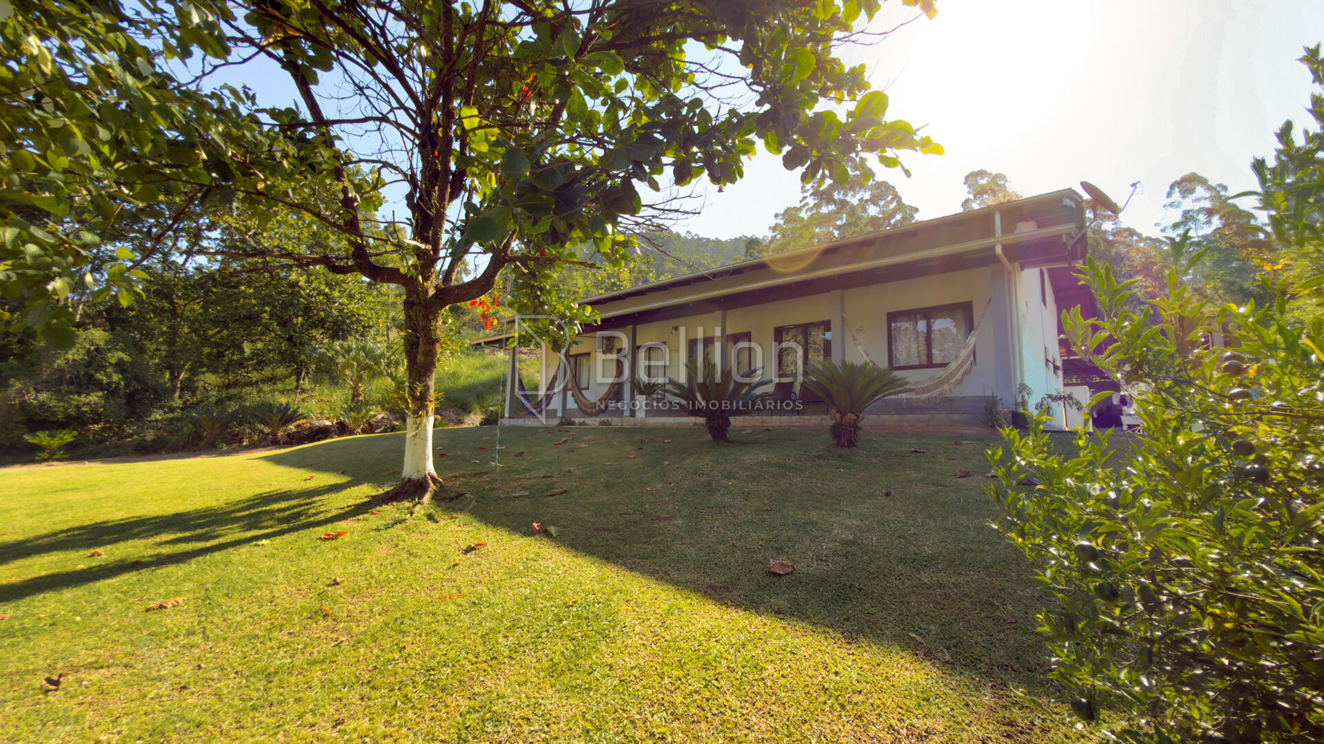 Sítio em Rodeio com ampla área e excelente potencial — foto 2