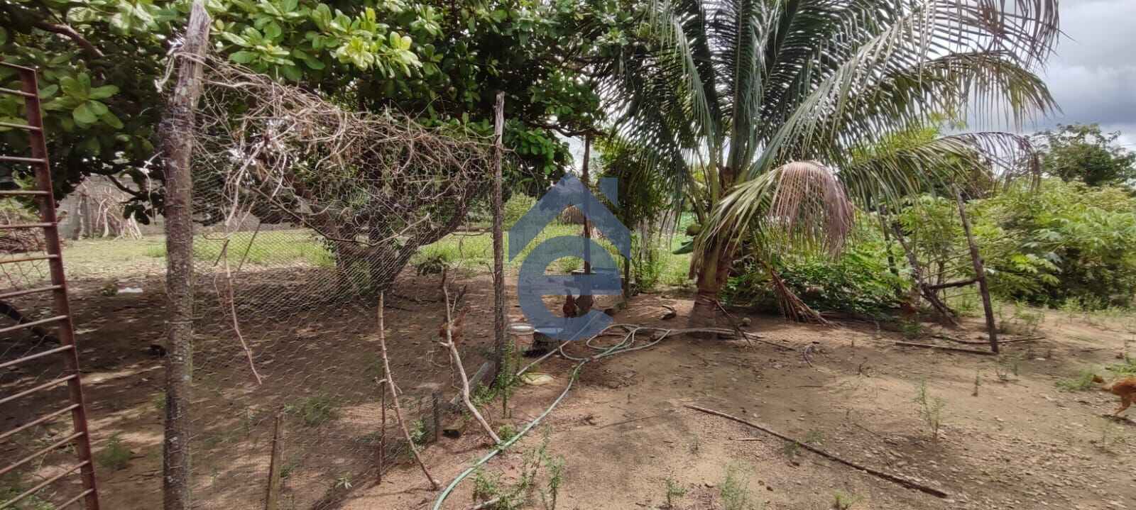 Chácara à venda, 2100m² - Foto 11