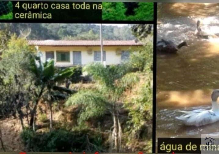 Chácara, 4 quartos, 2 hectares - Foto 13