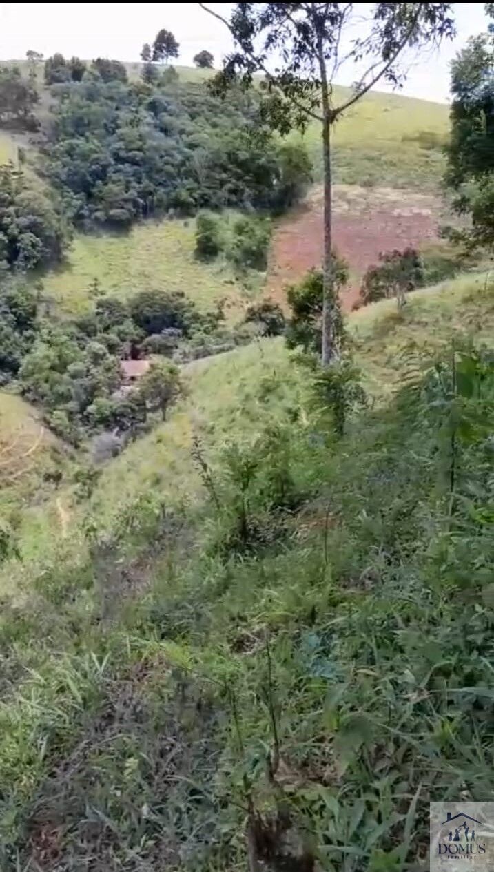 Chácara, 4 quartos, 2 hectares - Foto 4