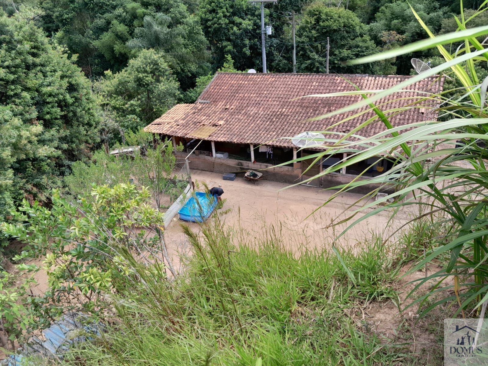 Chácara, 4 quartos, 2 hectares - Foto 22