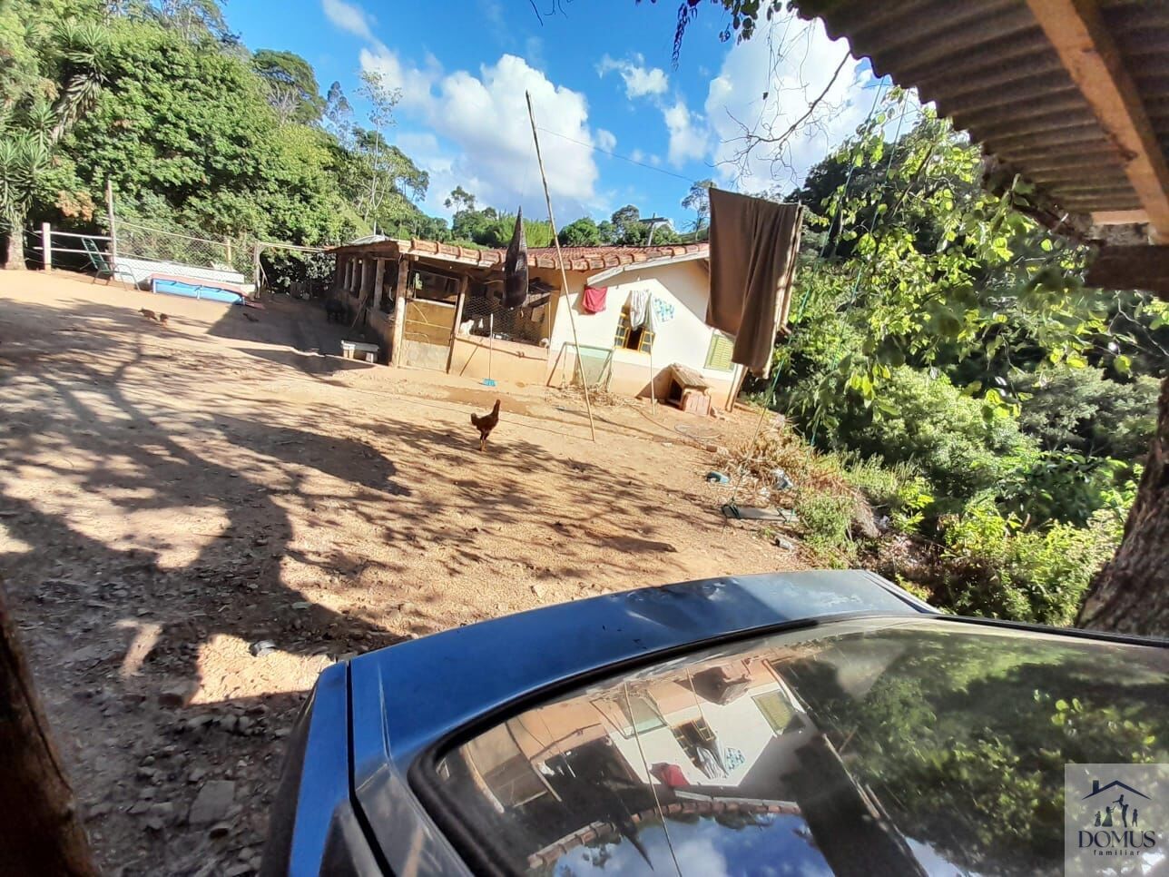 Chácara, 4 quartos, 2 hectares - Foto 14