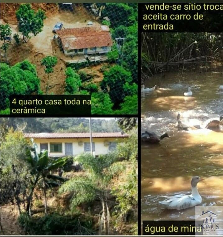 Chácara, 4 quartos, 2 hectares - Foto 8