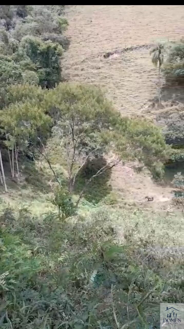 Chácara, 4 quartos, 2 hectares - Foto 6