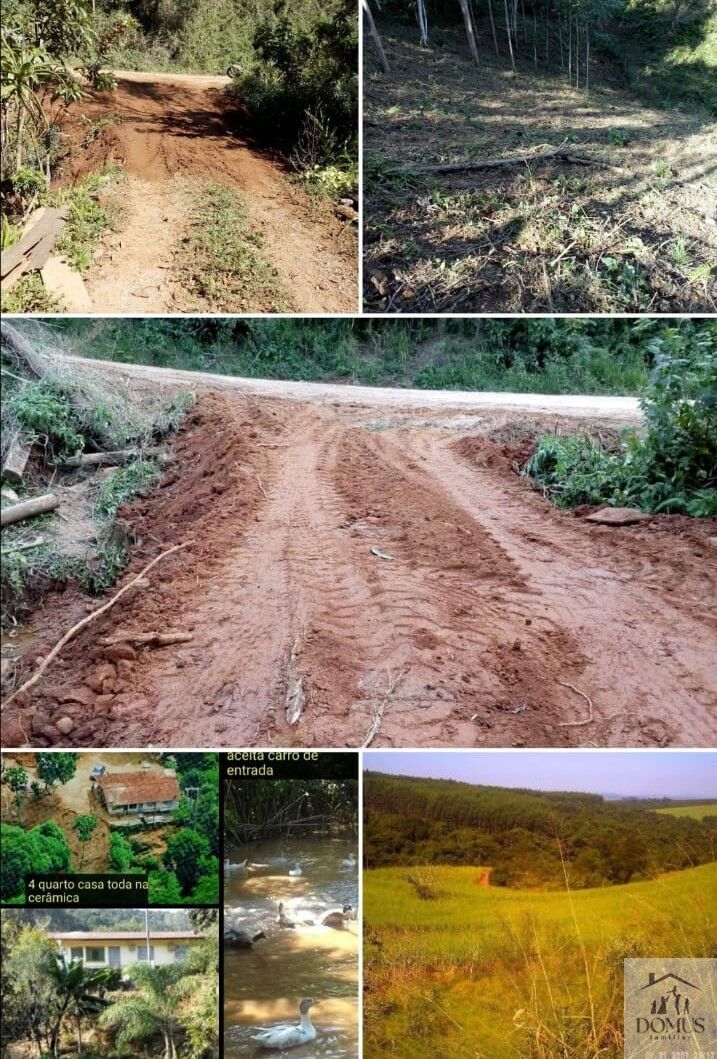 Chácara, 4 quartos, 2 hectares - Foto 11