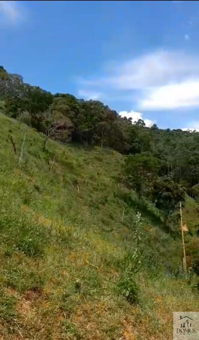 Chácara, 4 quartos, 2 hectares - Foto 10