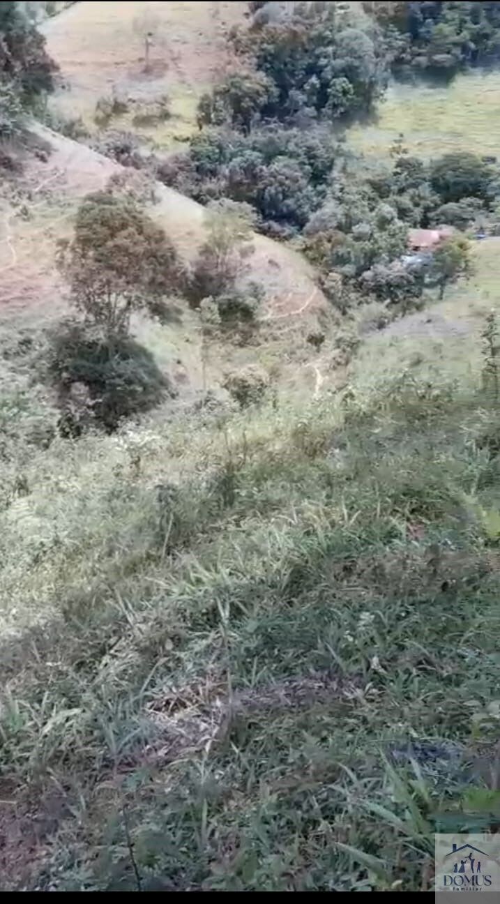Chácara, 4 quartos, 2 hectares - Foto 3