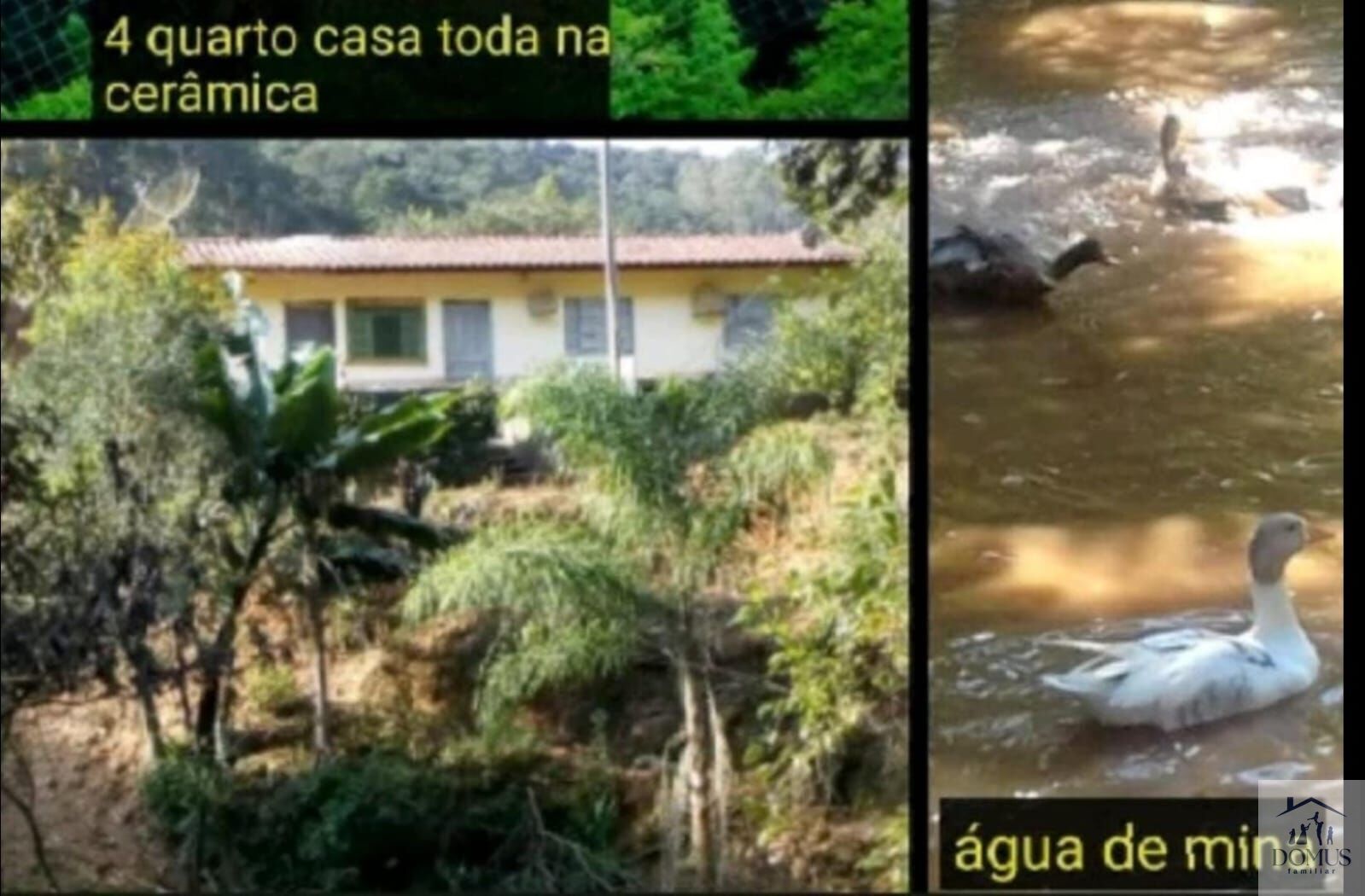 Chácara, 4 quartos, 2 hectares - Foto 18