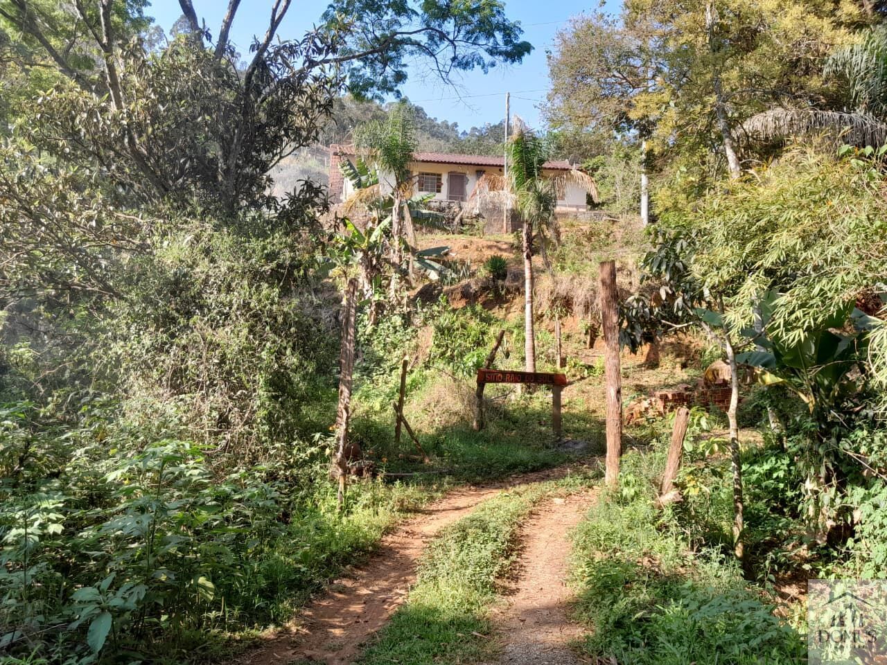 Chácara, 4 quartos, 2 hectares - Foto 33