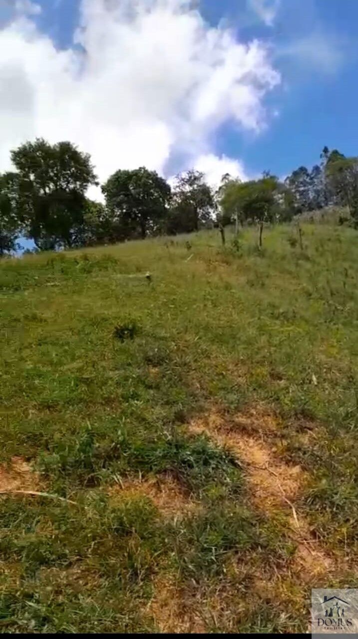 Chácara, 4 quartos, 2 hectares - Foto 7