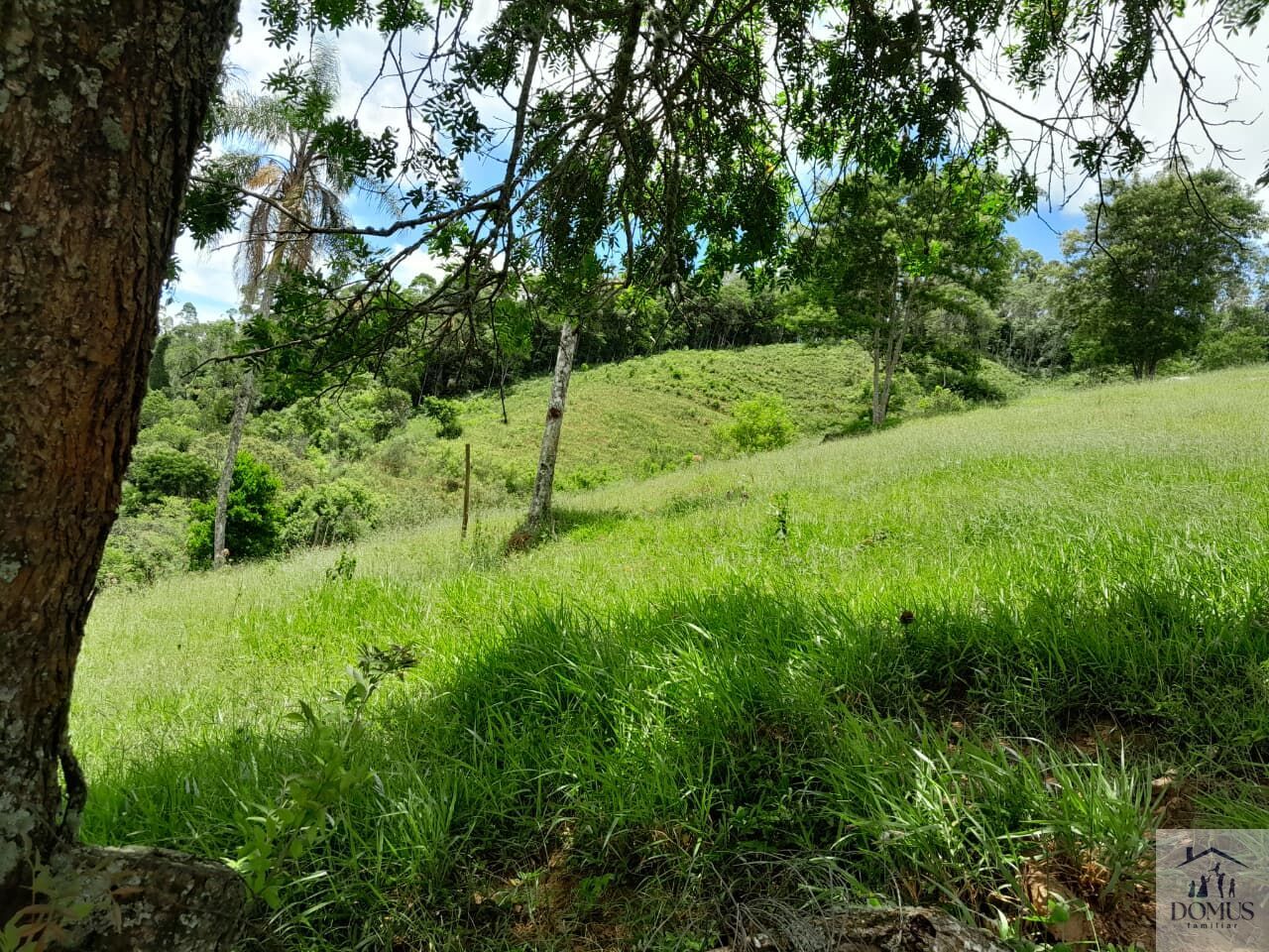 Chácara, 4 quartos, 2 hectares - Foto 34