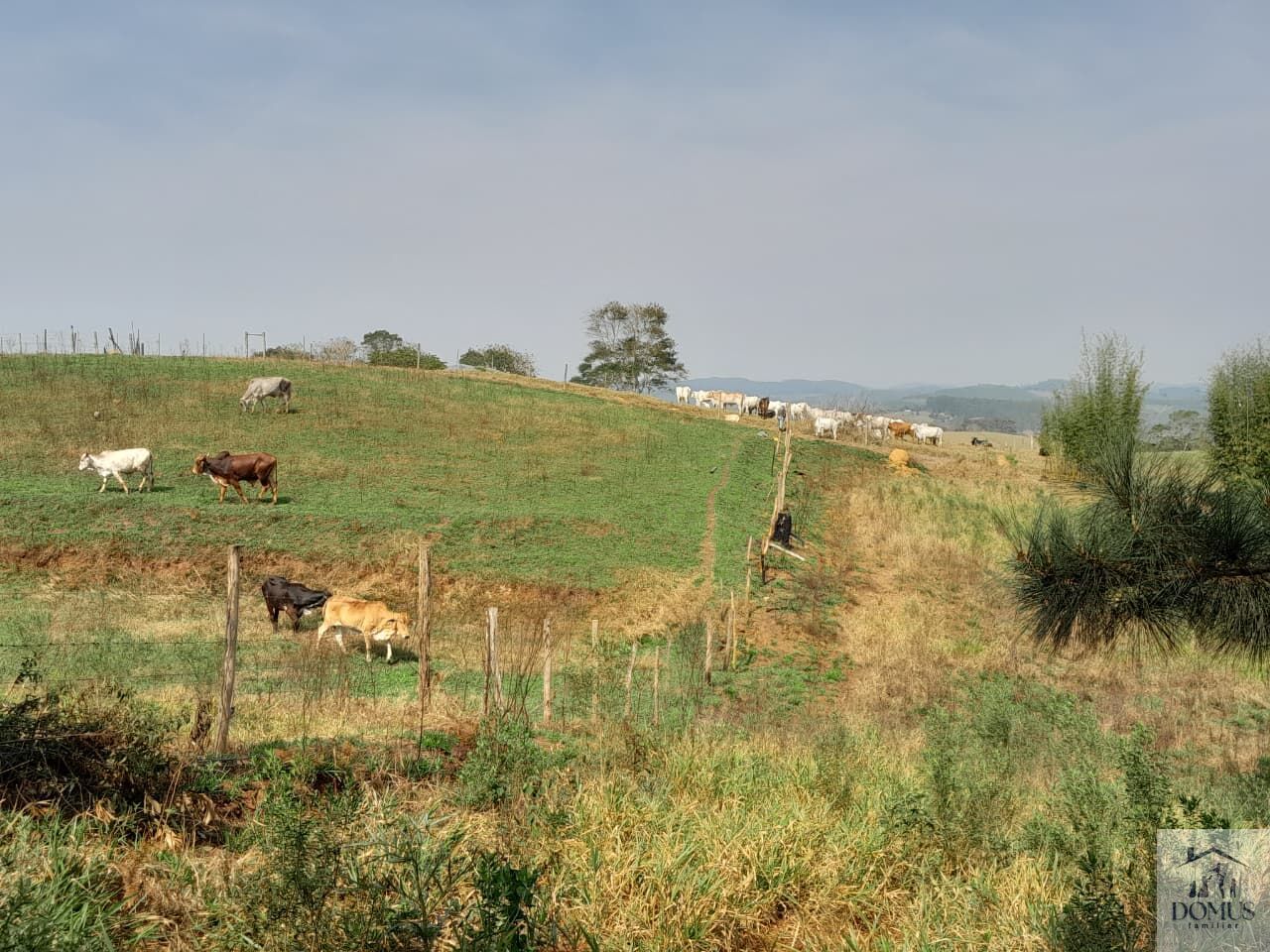 Chácara, 4 quartos, 2 hectares - Foto 31