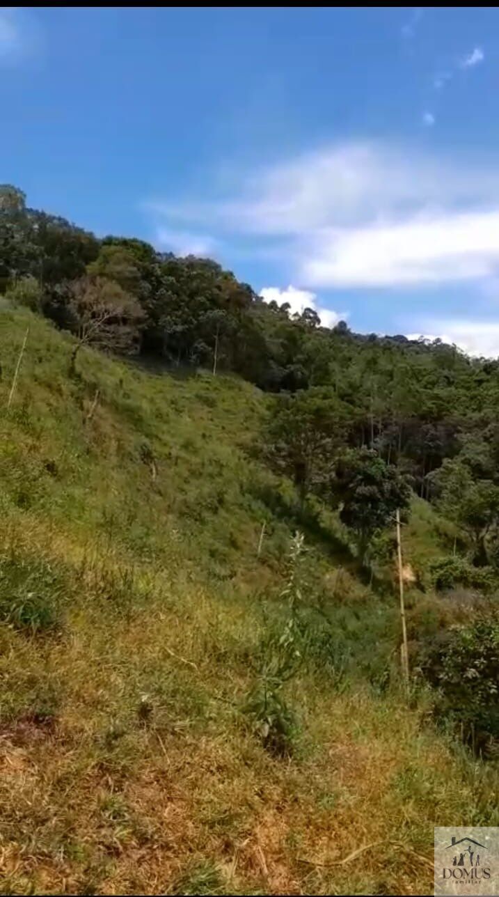 Chácara, 4 quartos, 2 hectares - Foto 5