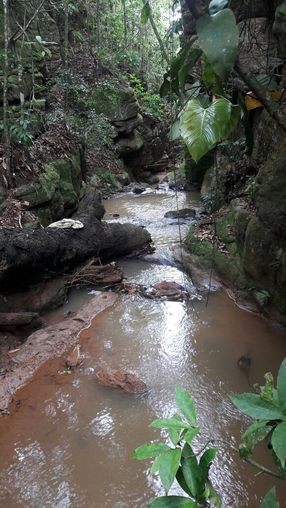 Fazenda à venda com 10 quartos, 70000m² - Foto 28