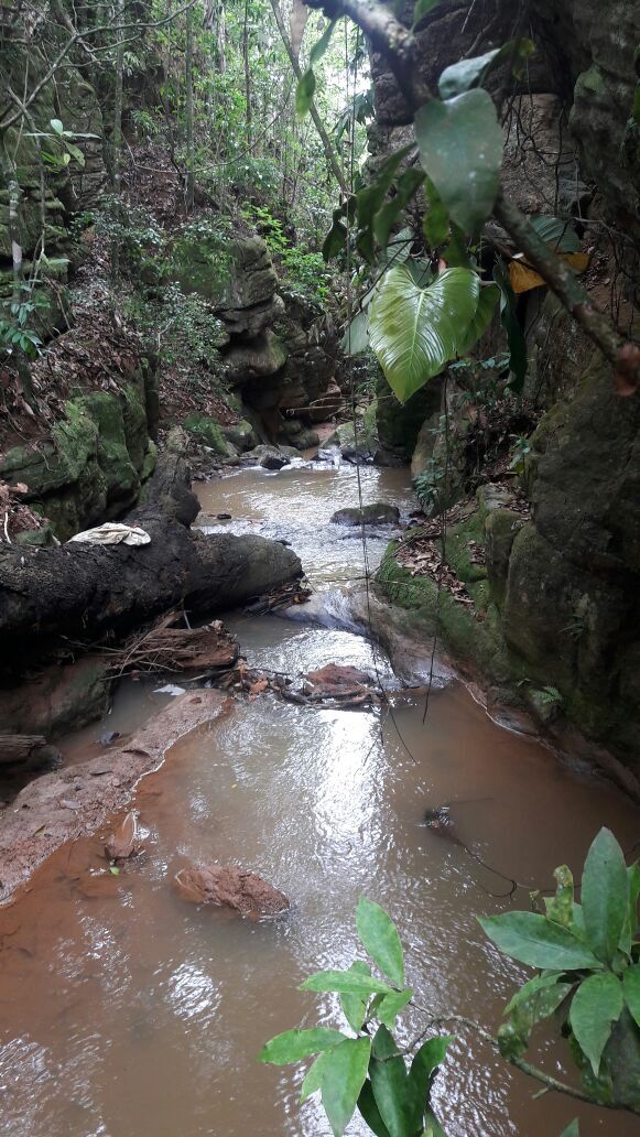 Fazenda à venda com 10 quartos, 70000m² - Foto 27