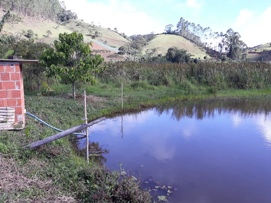 Fazenda à venda com 4 quartos, 25000m² - Foto 4