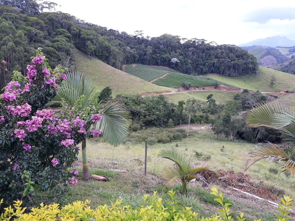 Fazenda à venda com 4 quartos, 25000m² - Foto 12