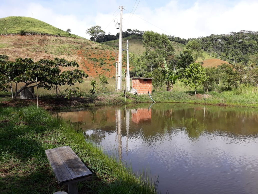 Fazenda à venda com 4 quartos, 25000m² - Foto 9