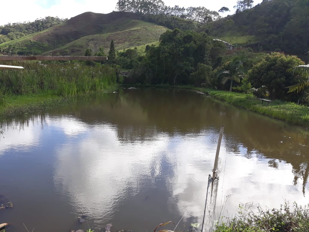 Fazenda à venda com 4 quartos, 25000m² - Foto 8