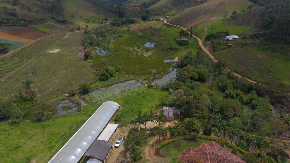 Fazenda à venda com 4 quartos, 25000m² - Foto 47