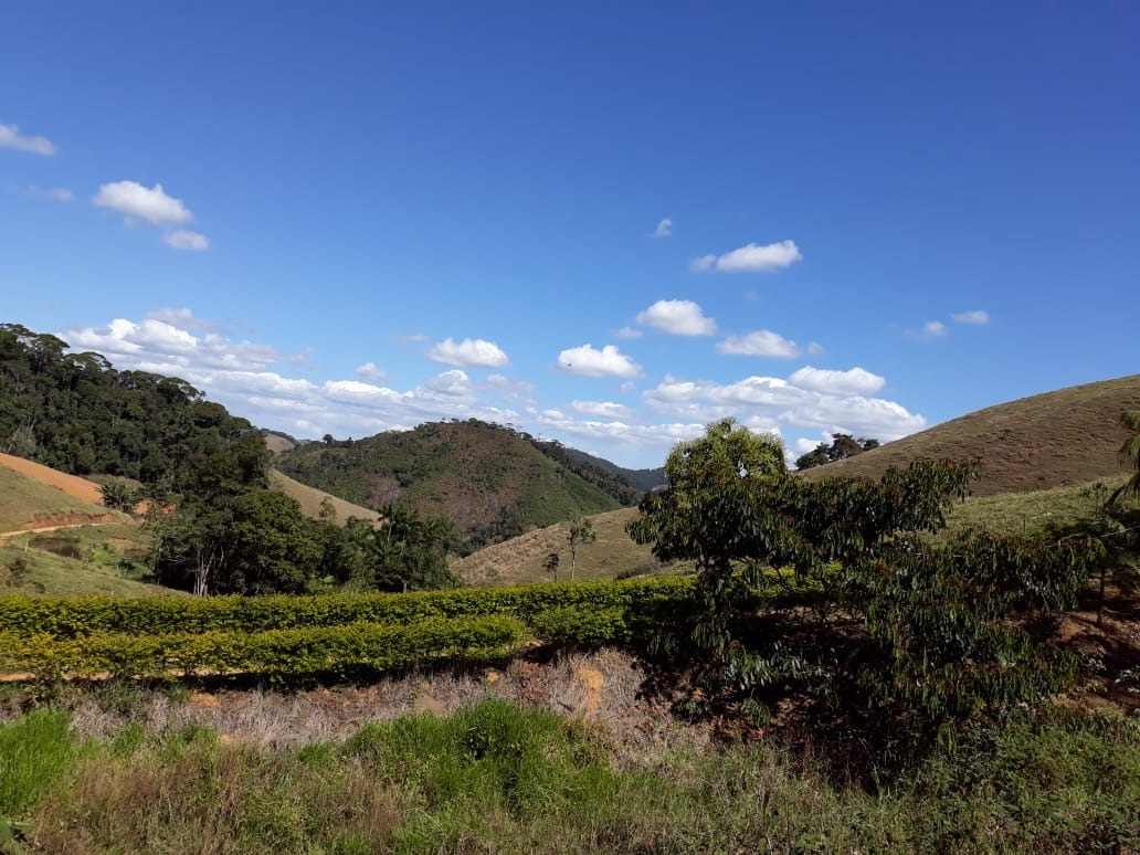 Fazenda à venda com 4 quartos, 25000m² - Foto 14