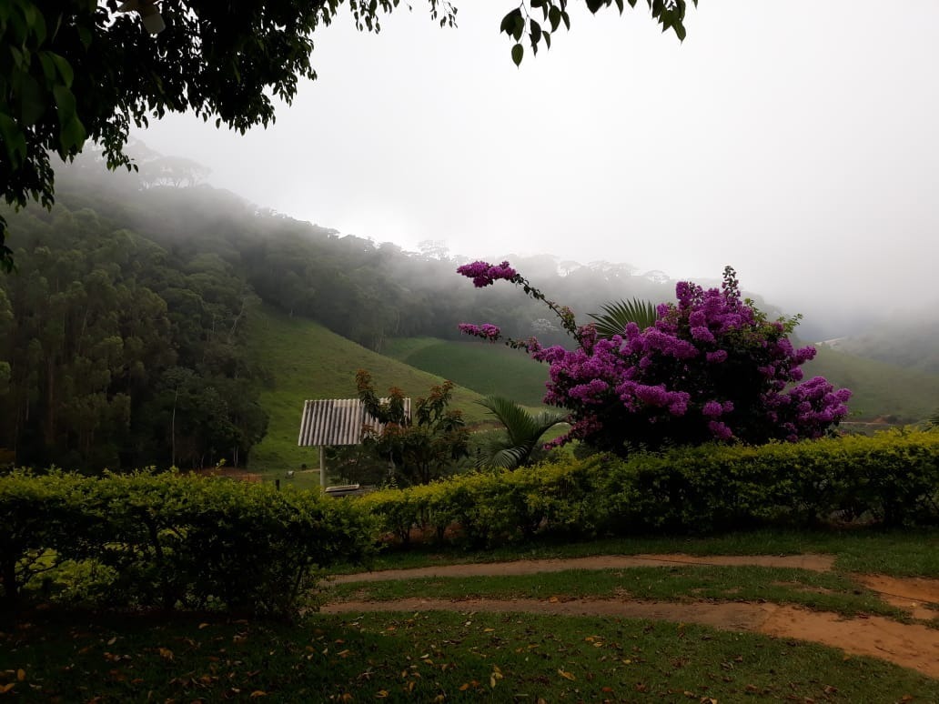 Fazenda à venda com 4 quartos, 25000m² - Foto 22