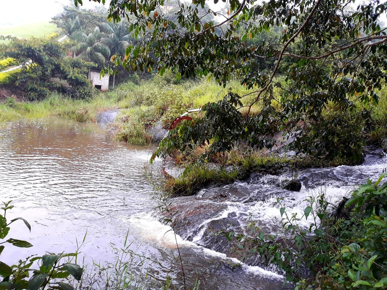 Fazenda à venda com 4 quartos, 25000m² - Foto 6