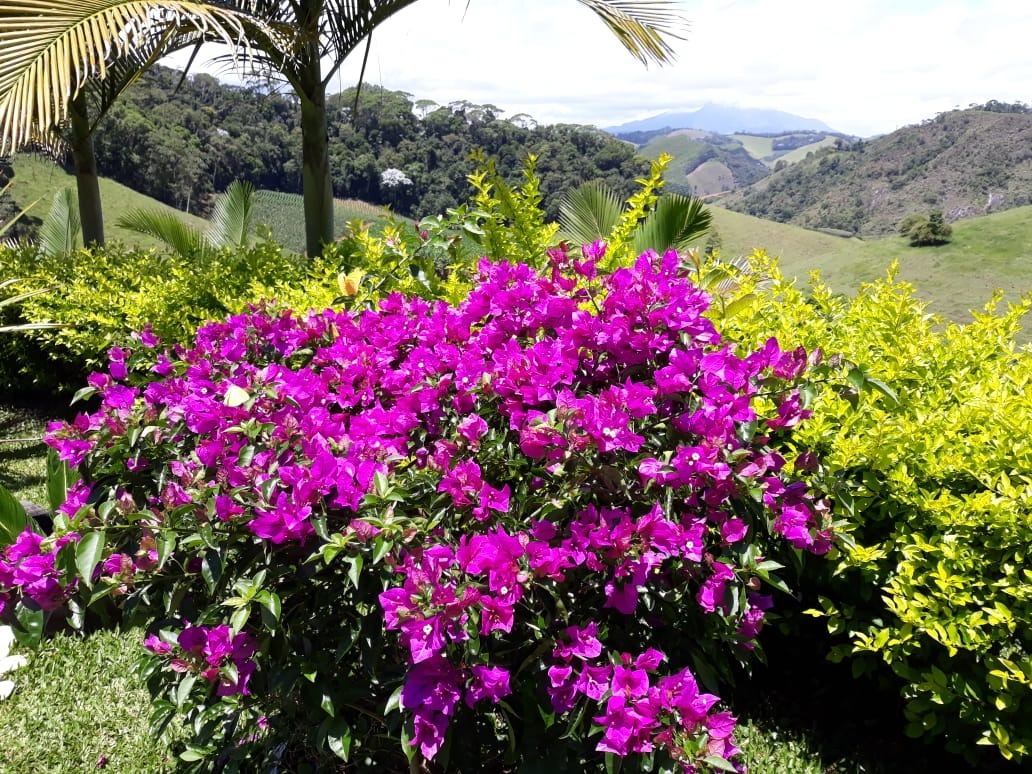 Fazenda à venda com 4 quartos, 25000m² - Foto 25