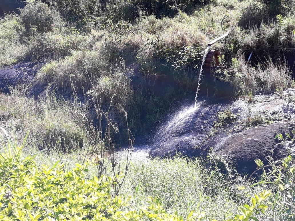 Fazenda à venda com 4 quartos, 25000m² - Foto 15