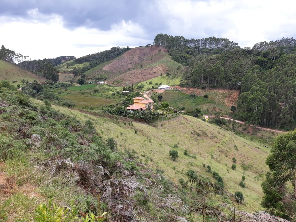 Fazenda à venda com 4 quartos, 25000m² - Foto 13