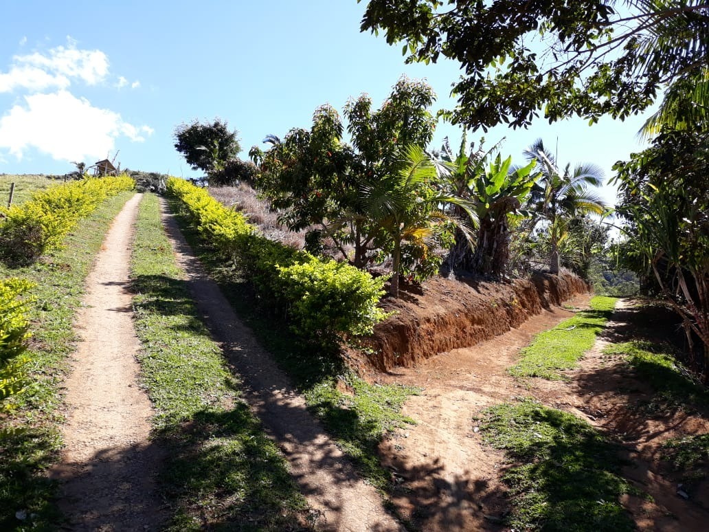 Fazenda à venda com 4 quartos, 25000m² - Foto 29