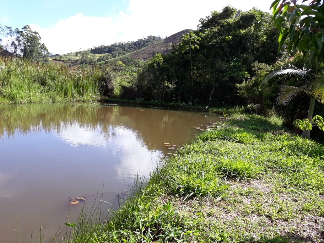 Fazenda à venda com 4 quartos, 25000m² - Foto 10