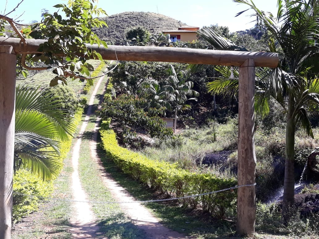 Fazenda à venda com 4 quartos, 25000m² - Foto 31