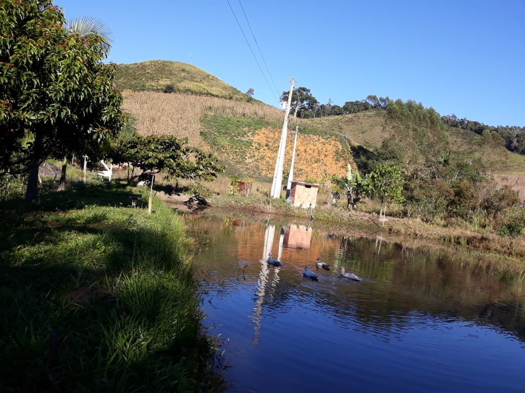 Fazenda à venda com 4 quartos, 25000m² - Foto 3