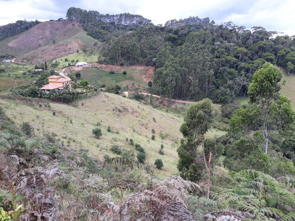 Fazenda à venda com 4 quartos, 25000m² - Foto 11