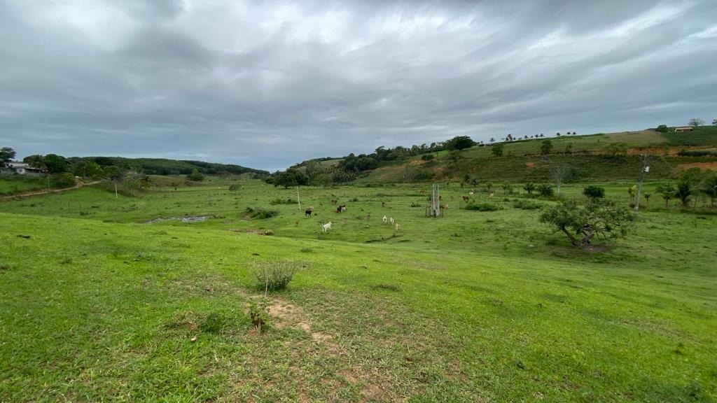 Fazenda à venda - Foto 6