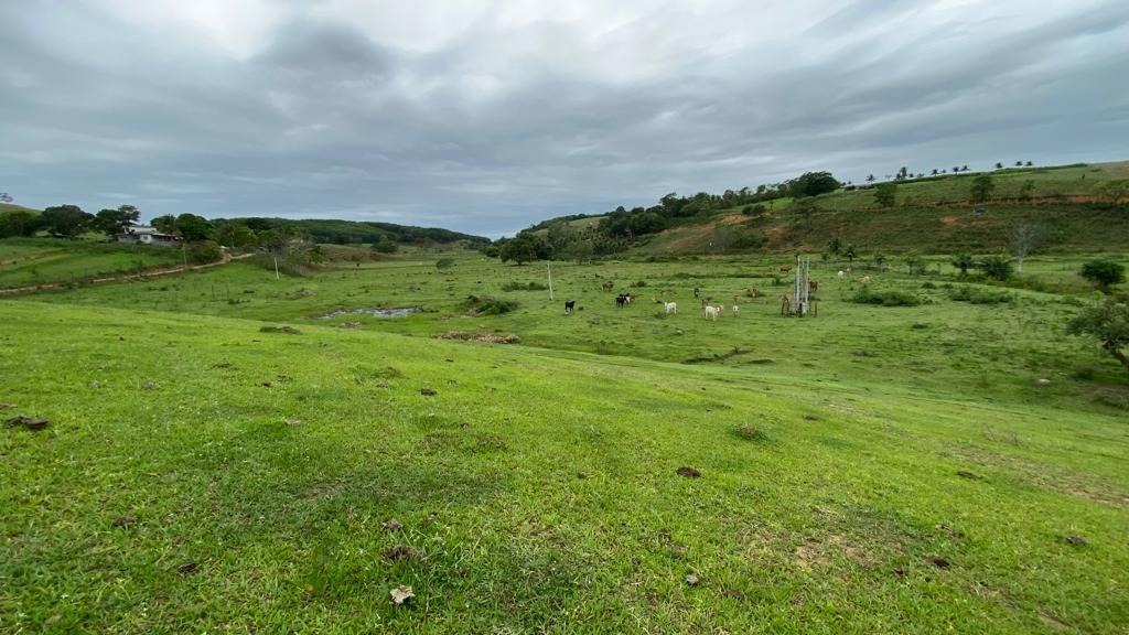 Fazenda à venda - Foto 7