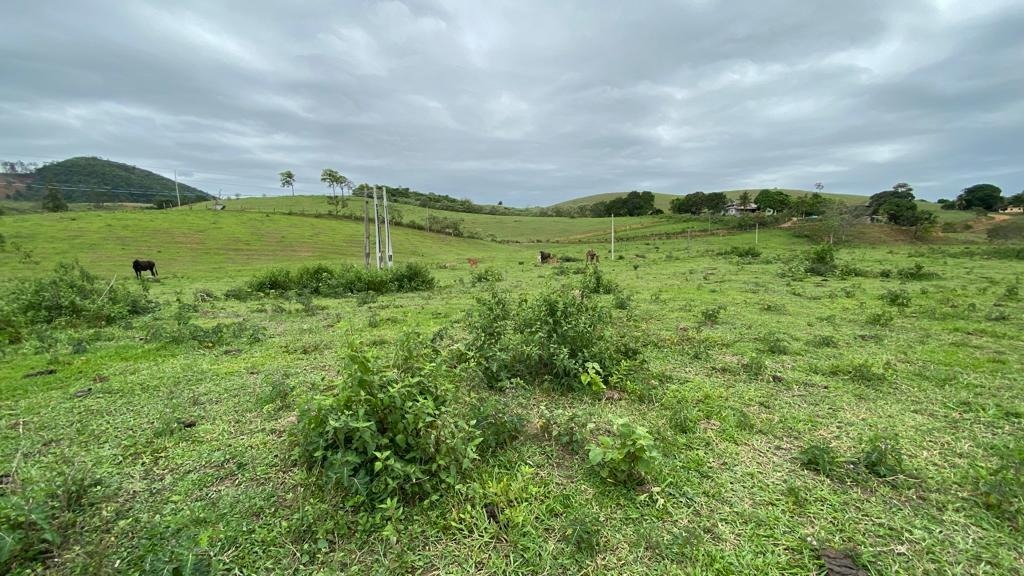 Fazenda à venda - Foto 10