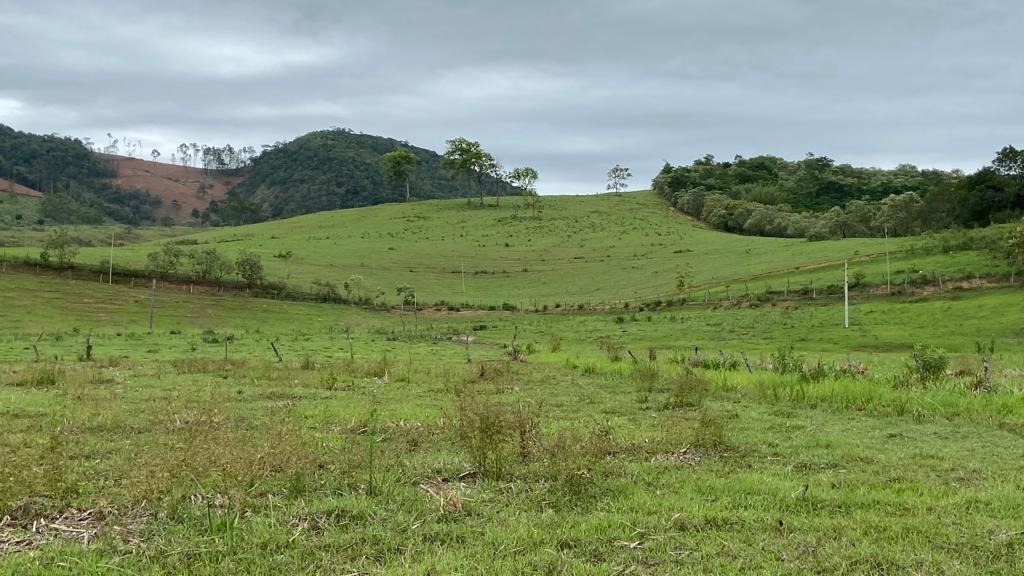 Fazenda à venda - Foto 21