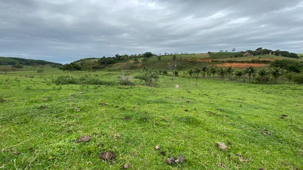 Fazenda à venda - Foto 4