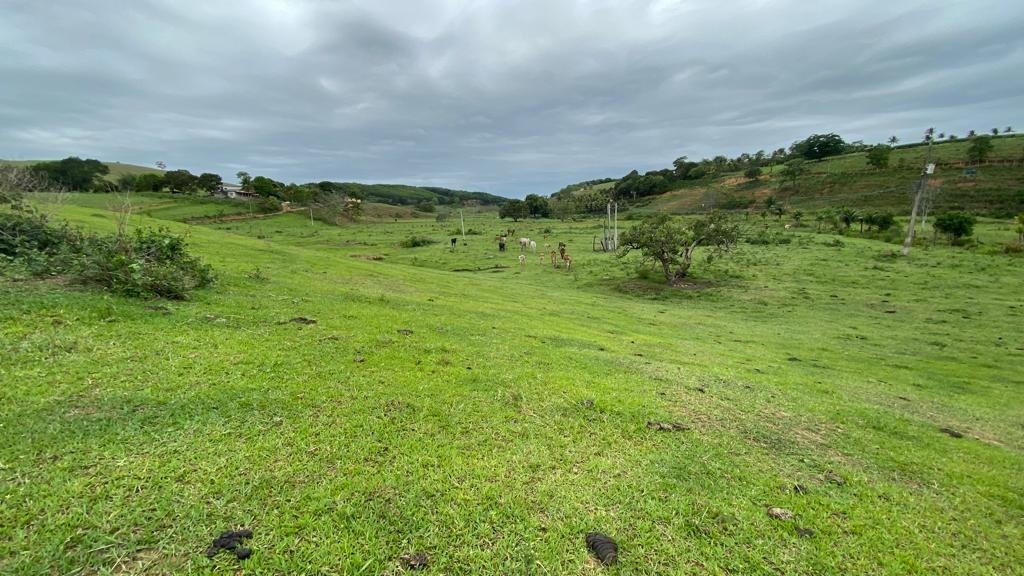 Fazenda à venda - Foto 8