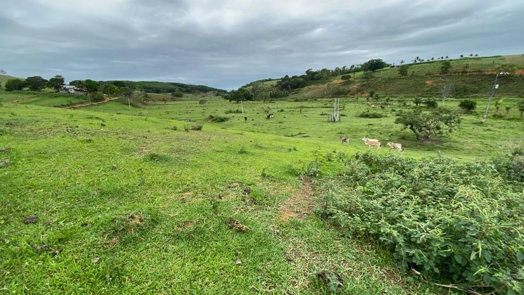 Fazenda à venda - Foto 5