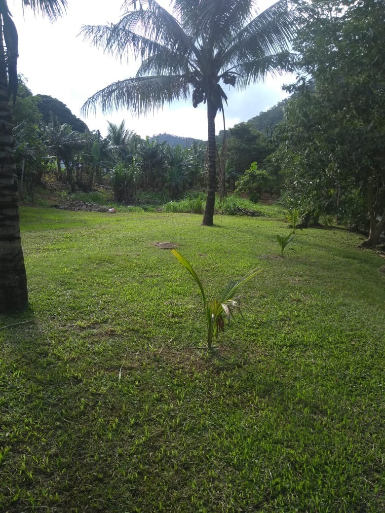 Fazenda à venda com 4 quartos, 2000m² - Foto 9