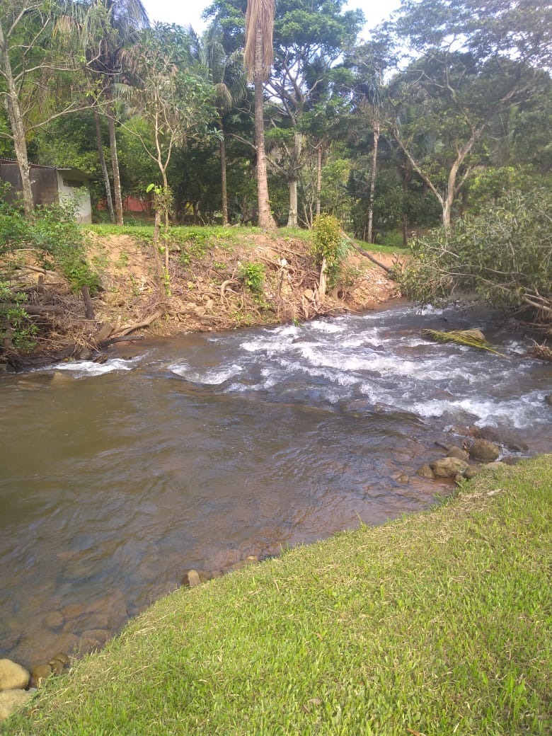 Fazenda à venda com 4 quartos, 2000m² - Foto 2