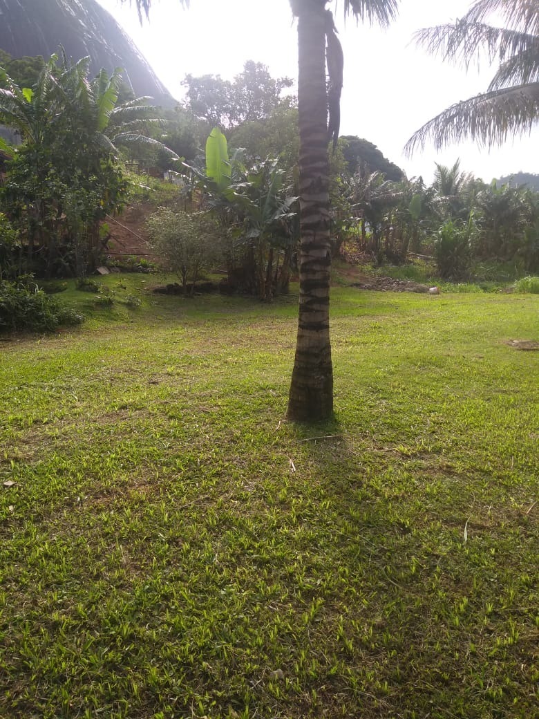 Fazenda à venda com 4 quartos, 2000m² - Foto 8