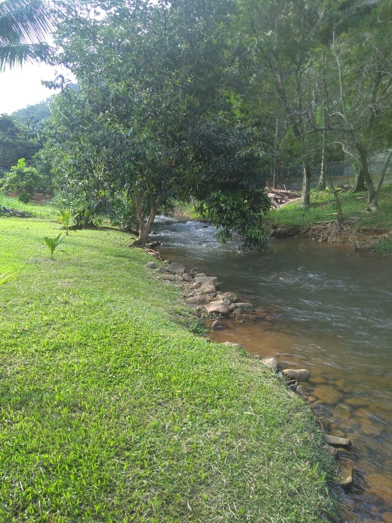 Fazenda à venda com 4 quartos, 2000m² - Foto 3