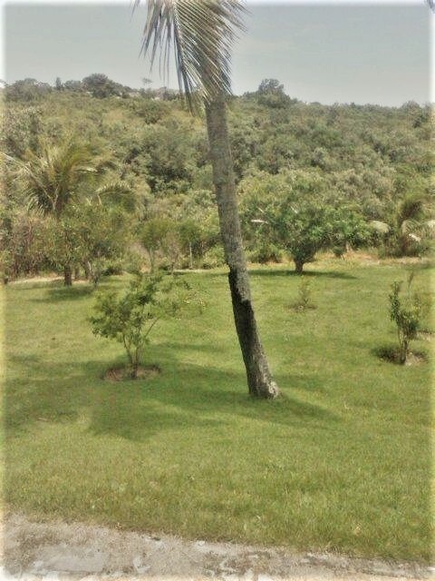 Fazenda à venda, 201000m² - Foto 7