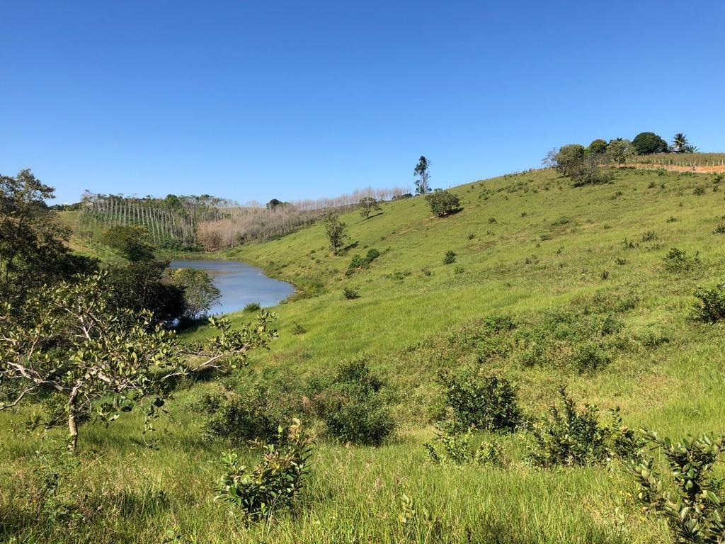 Terreno à venda, 72000m² - Foto 13