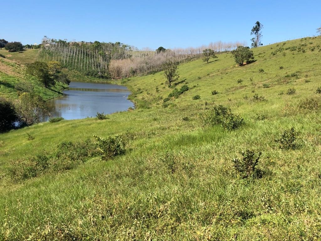 Terreno à venda, 72000m² - Foto 14